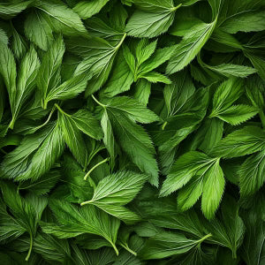 Nettle